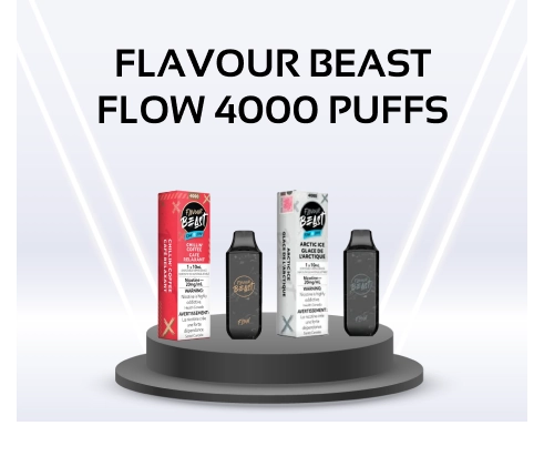 Flavour Beast Flow 4000 Puffs