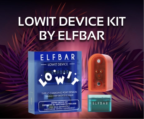 Lowit Device Kit by Elfbar