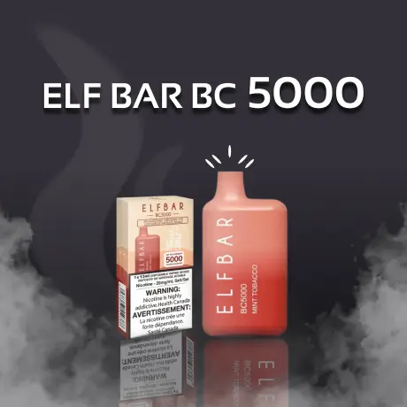 Elf Bar BC 5000